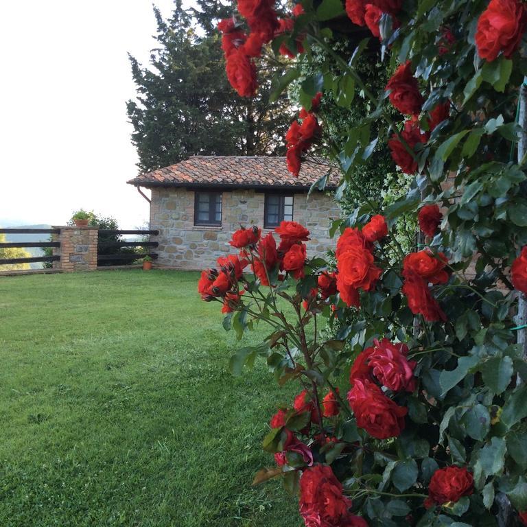 Agriturismo La Bicocca - Apt. "Il Leccio" Castel Rigone Rom bilde
